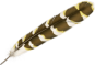 feather